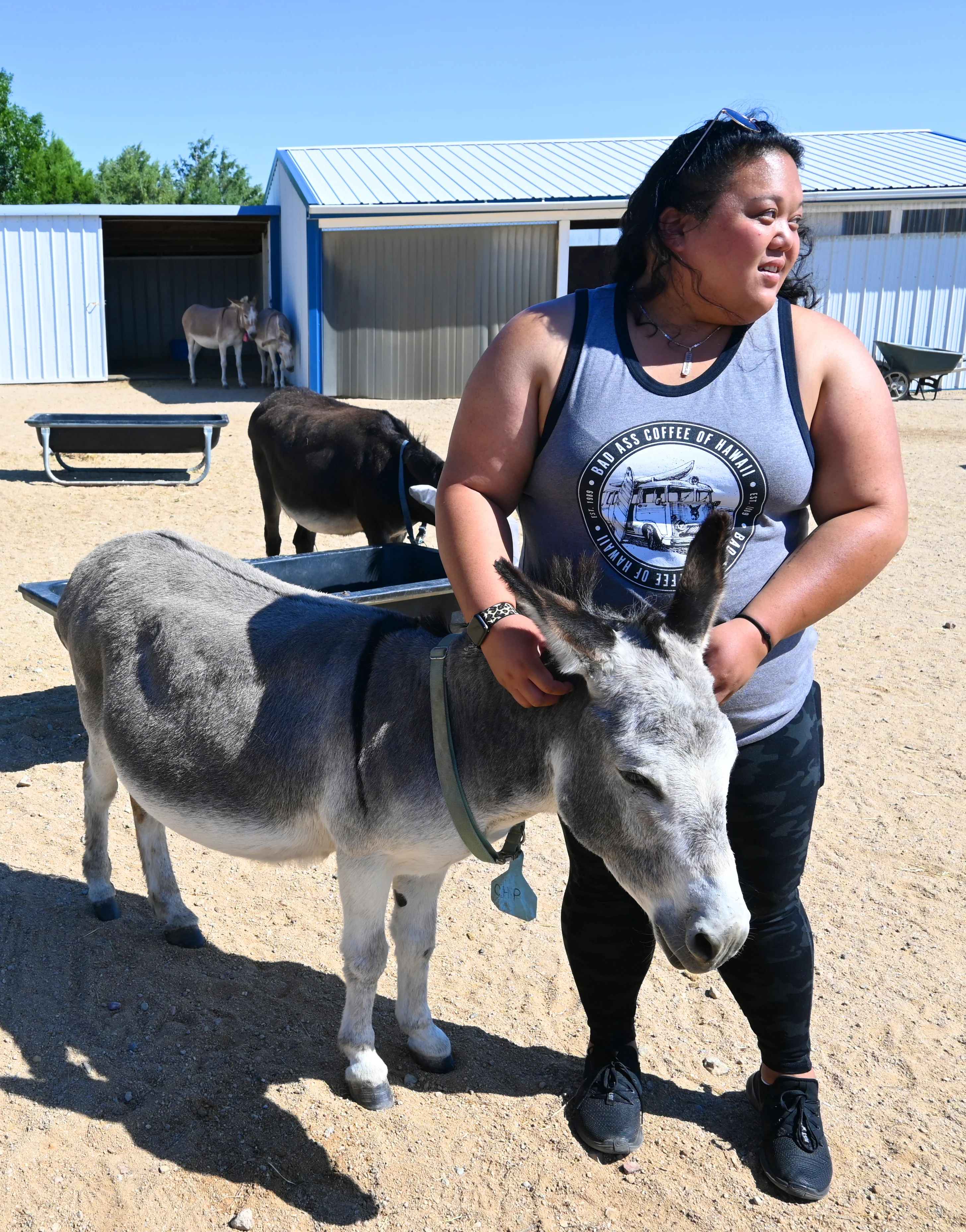 Give A Hoof Program | Donkey Rescue - Image 3